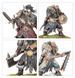 Набор миниатюр CHAOS MARAUDERS ARMY REINFORCEMENT SET 99122701016 фото 9