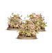 Набір мініатюр MAGGOTKIN OF NURGLE - NURGLINGS 99129915060 фото 2